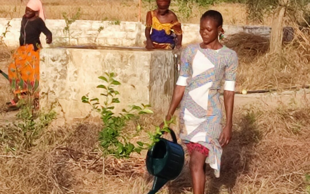 Le maraîchage de Keur Potié