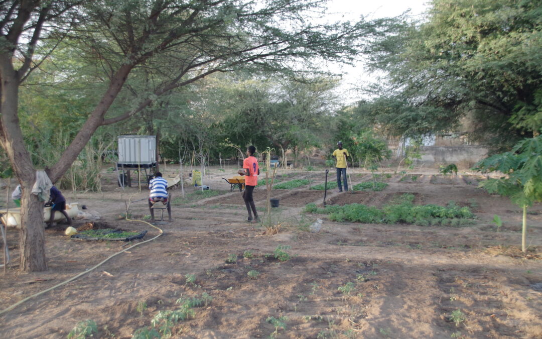 Rapport du jardin faune Flore